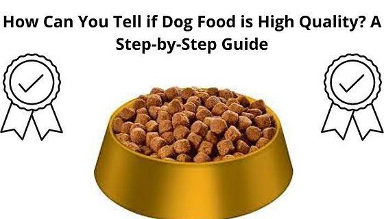 how-can-you-tell-if-dog-food-is-high-quality-a-step-by-step-guide