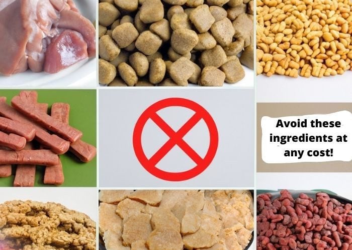 Avoid these ingredients