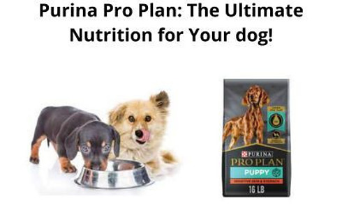 the-purina-pro-plan-the-ultimate-nutrition-for-your-dog