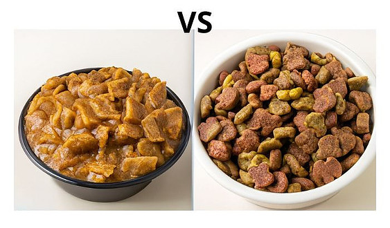 wet-dog-food-vs-dry-dog-food