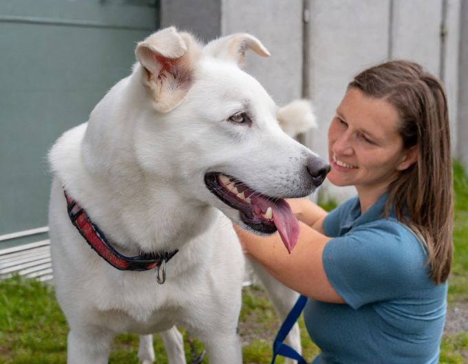 A dog owner and their dog with each other, showing emphasizing care and safety